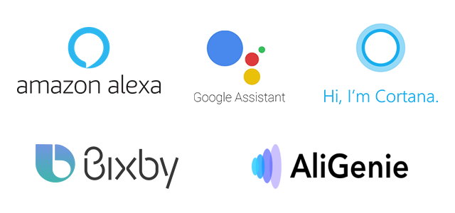 Voice First Marketing & SEO – Witlingo